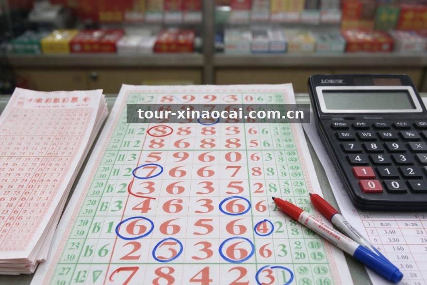 十月新澳彩项目热度盘点：从界面亮度到交互反馈的体验排名